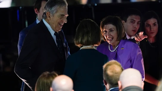 La presidenta de la Cámara de Representantes de EEUU, Nancy Pelosi, junto a su marido Paul. La presidenta de la Cámara de Representantes de EEUU, Nancy Pelosi, junto a su marido Paul.