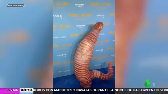 El disfraz de Heidi Klum como un auténtico gusano y otros espectaculares looks de famosos en Halloween El disfraz de Heidi Klum como un auténtico gusano y otros espectaculares looks de famosos en Halloween