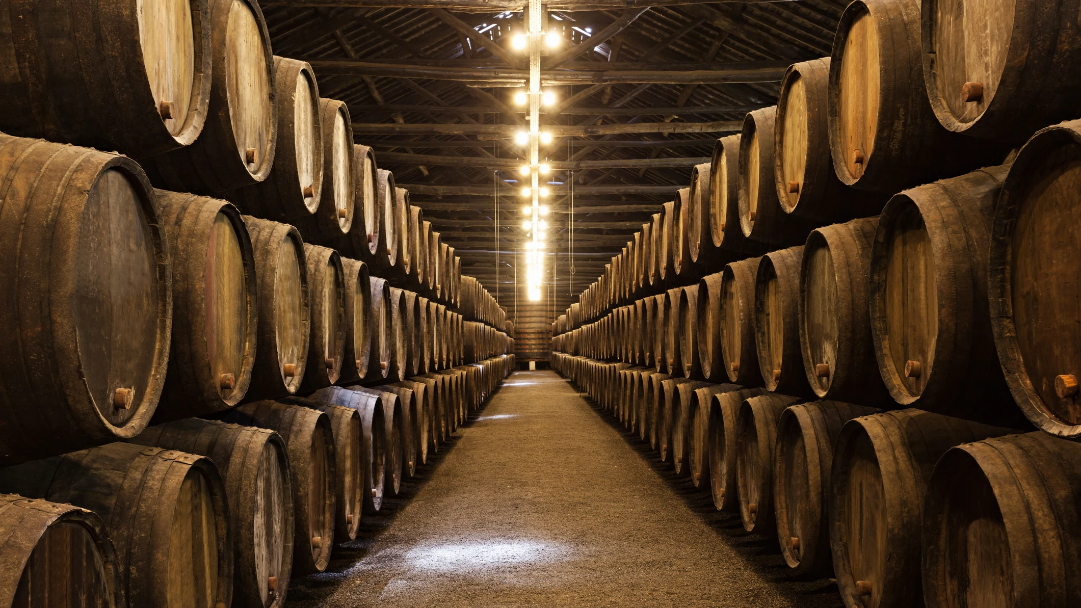 Imagen de archivo de unas bodegas Imagen de archivo de unas bodegas
