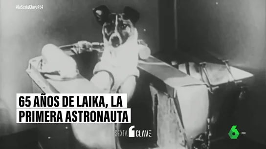 Laika Laika