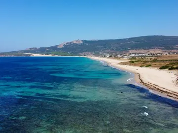 Imagenes de dron y satelite monitorizan una macroalga invasora de las costas andaluzas Imagenes de dron y satelite monitorizan una macroalga invasora de las costas andaluzas