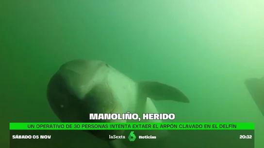 MANOLINO Y ARPON MANOLINO Y ARPON