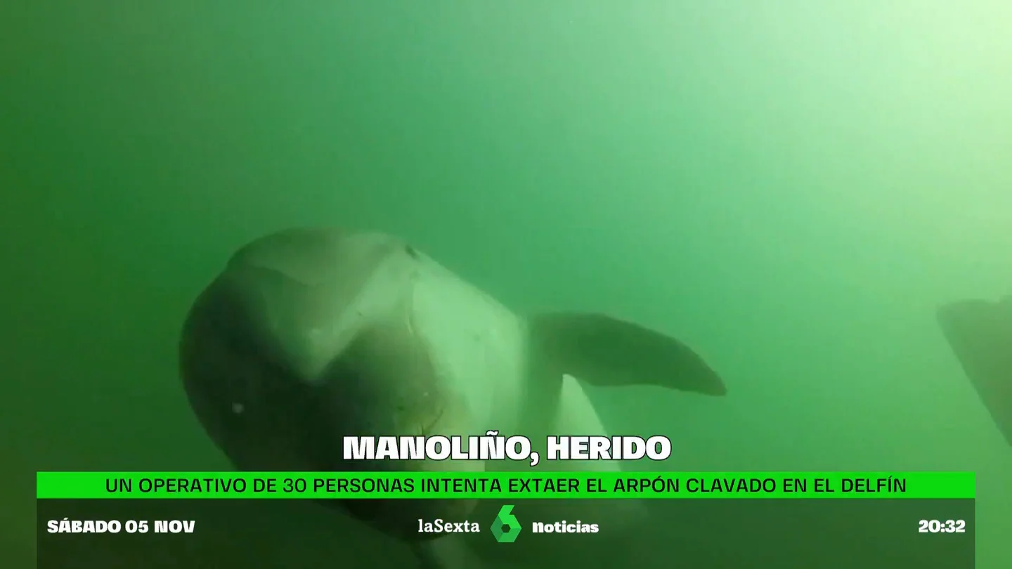 MANOLINO Y ARPON MANOLINO Y ARPON