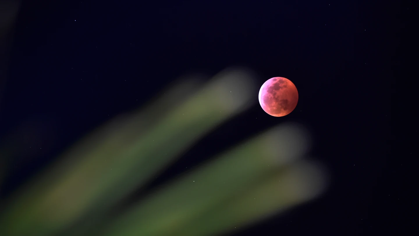 Imagen del eclipse lunar total visto el 20 de enero de 2019 en Las Vegas, Estados Unidos. Imagen del eclipse lunar total visto el 20 de enero de 2019 en Las Vegas, Estados Unidos.