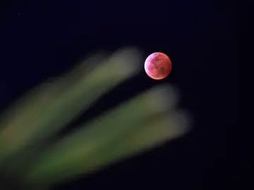 Imagen del eclipse lunar total visto el 20 de enero de 2019 en Las Vegas, Estados Unidos.