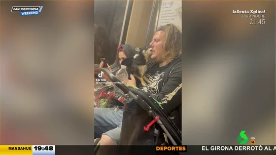ArusWeekend: una limpieza bucal de perros ArusWeekend: una limpieza bucal de perros