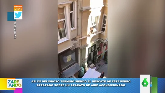 Vídeo del rescate a un perro atrapado sobre un aire acondicionado Vídeo del rescate a un perro atrapado sobre un aire acondicionado