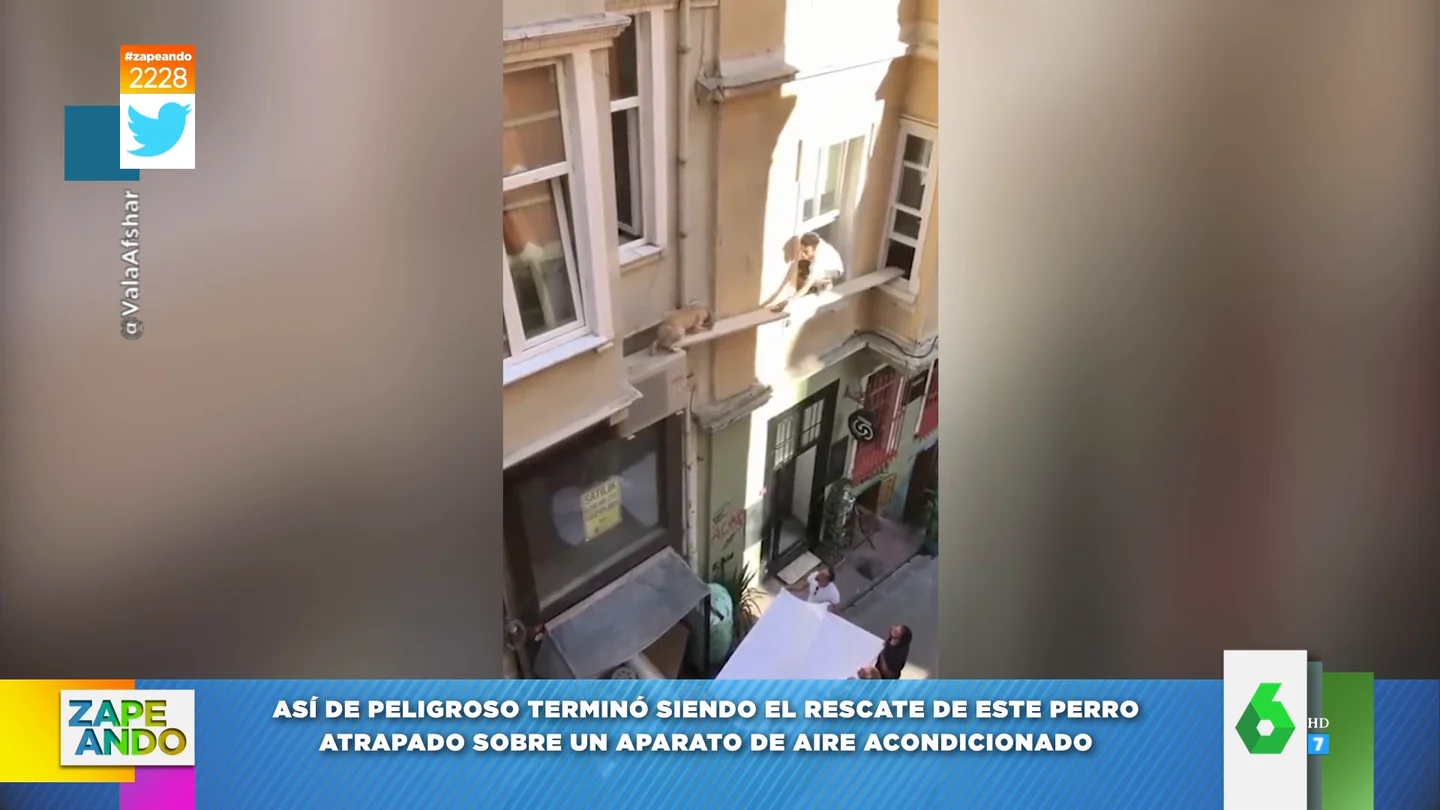 Vídeo del rescate a un perro atrapado sobre un aire acondicionado Vídeo del rescate a un perro atrapado sobre un aire acondicionado