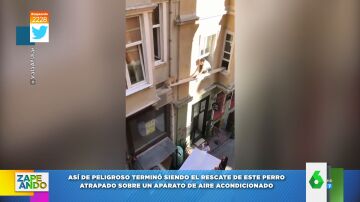 Vídeo del rescate a un perro atrapado sobre un aire acondicionado