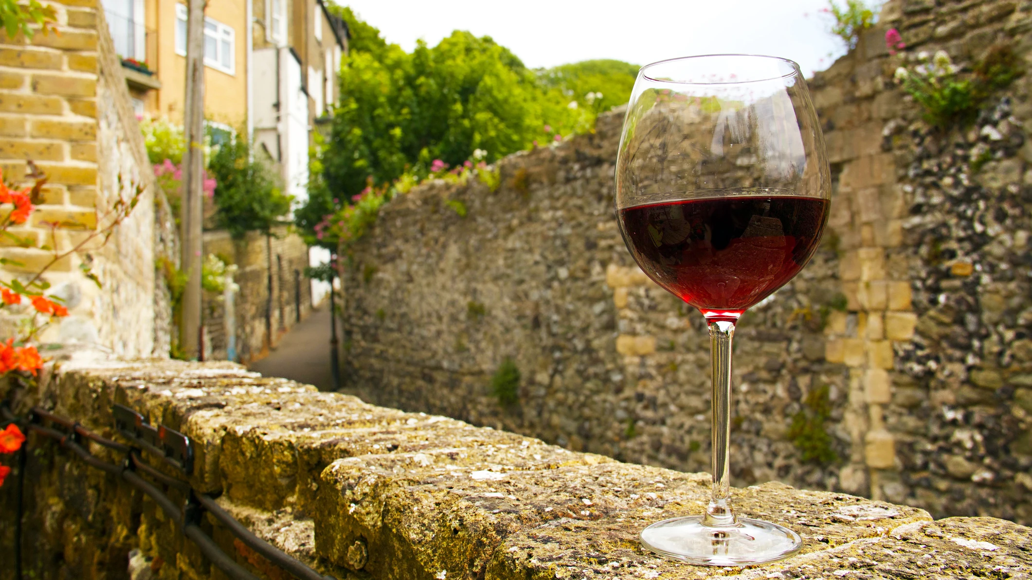 Una copa de vino en una bodega Una copa de vino en una bodega