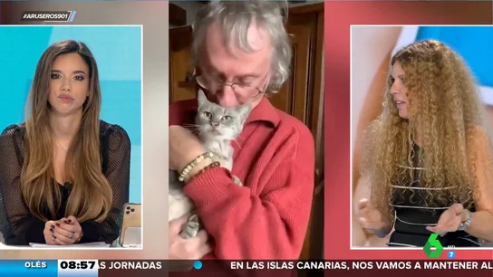 Un gato regresa a su casa después de 16 meses perdido y recorrer más de 600 kilómetros Un gato regresa a su casa después de 16 meses perdido y recorrer más de 600 kilómetros