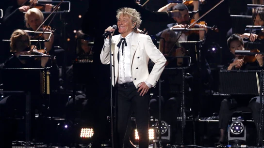Rod Stewart, durante una actuación Rod Stewart, durante una actuación