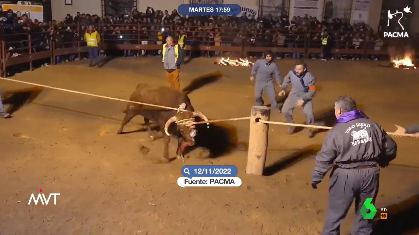 Las imágenes del Toro de Júbilo de Medinaceli: así fue el 'espectáculo' en el que el animal acabó muriendo tras 12 minutos de agonía Las imágenes del Toro de Júbilo de Medinaceli: así fue el 'espectáculo' en el que el animal acabó muriendo tras 12 minutos de agonía