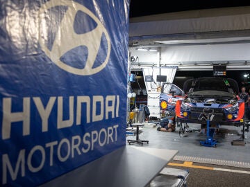 Dani Sordo sigue en una Hyundai una temporada más
