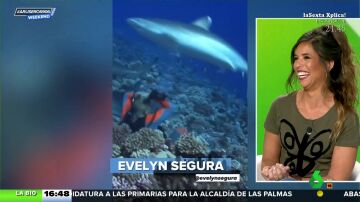 Evelyn Segura advierte a los calvos: cuidado con los tiburones