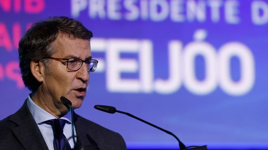 El presidente del PP, Alberto Núñez Feijóo, durante una conferencia El presidente del PP, Alberto Núñez Feijóo, durante una conferencia