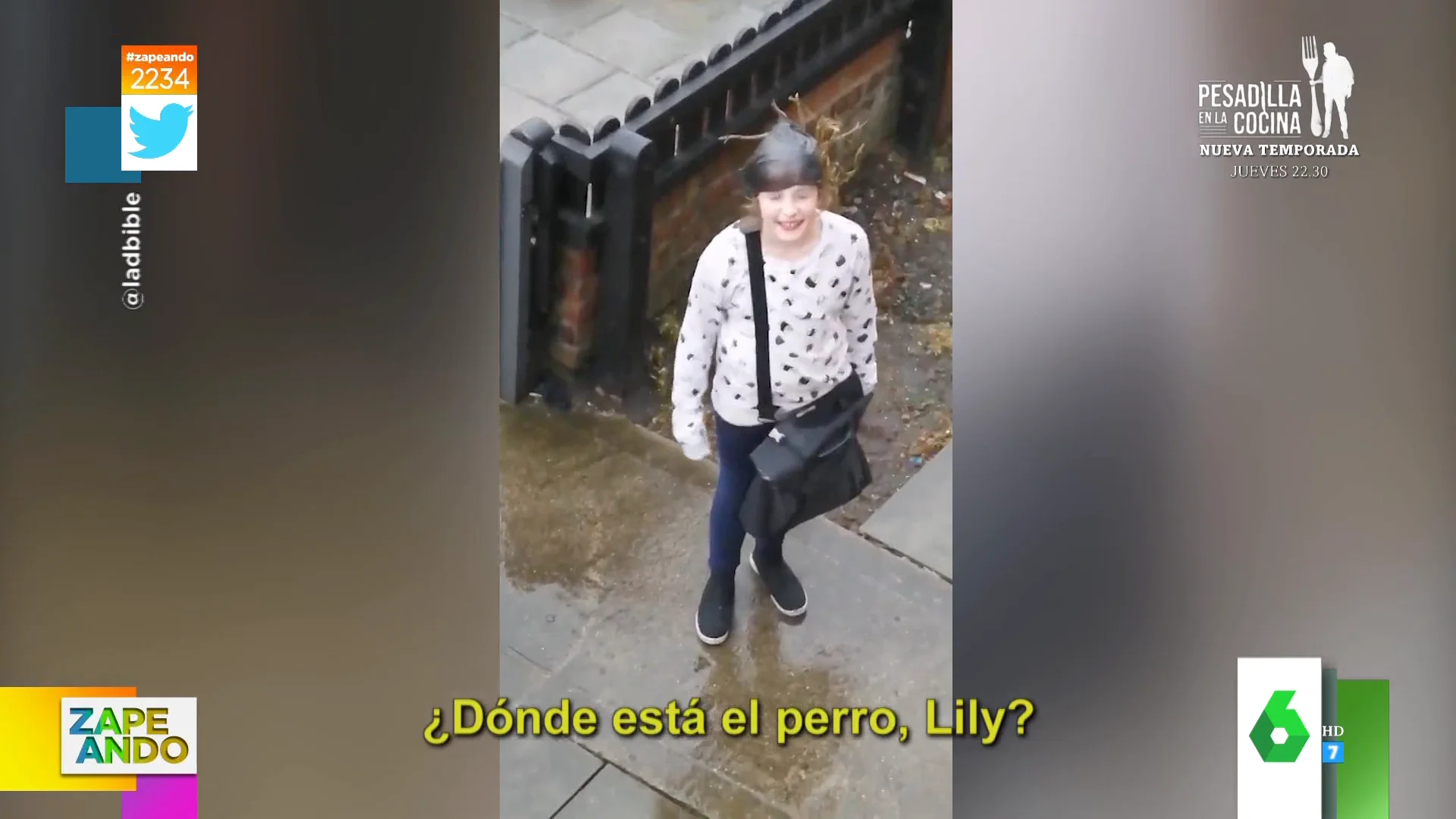 El cómico viral de una niña en el que explica dónde y por qué ha escondido a su perro por la lluvia