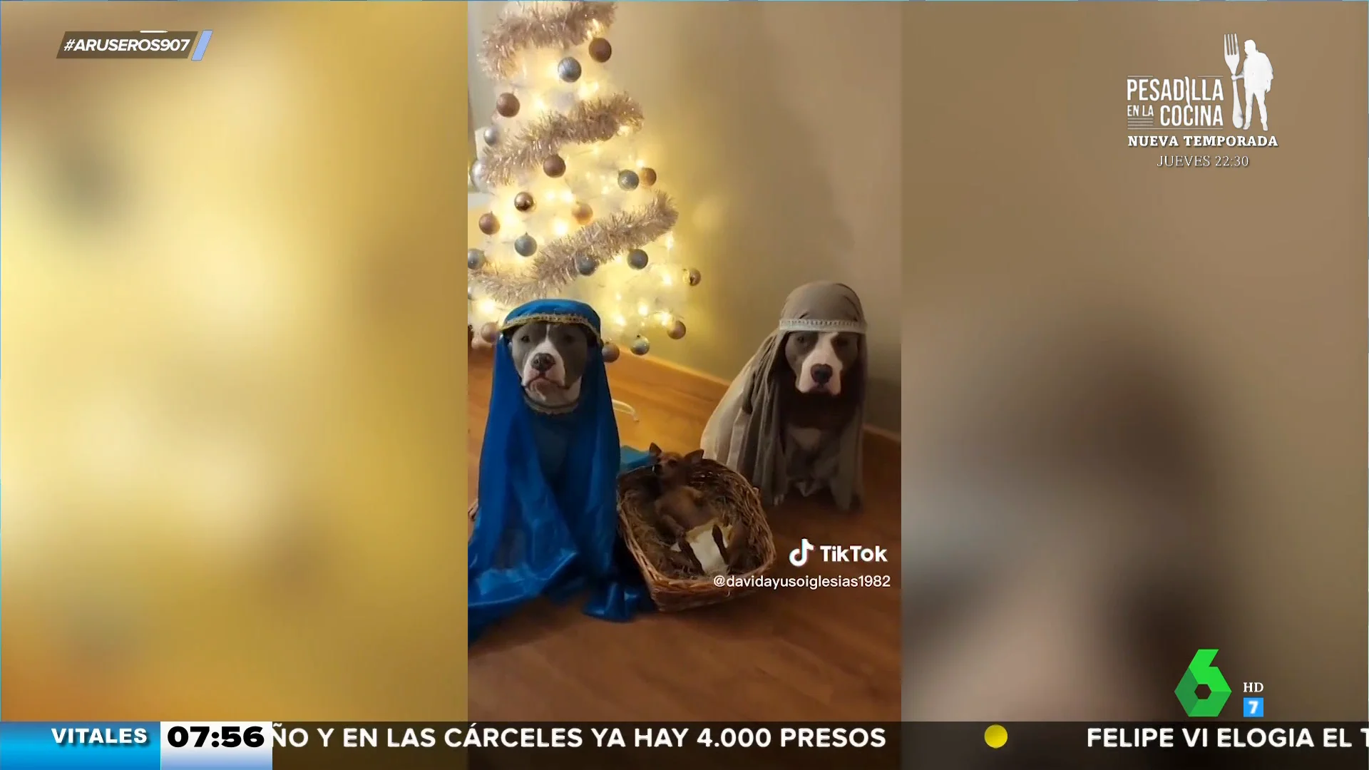 Un belén viviente versión canina: "La Virgen María está muy posparto"