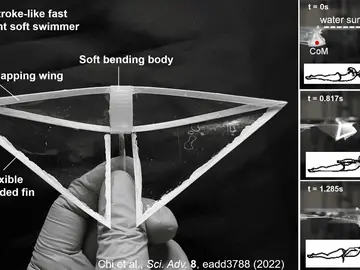 Robot "mariposa" y sus movimientos Robot "mariposa" y sus movimientos