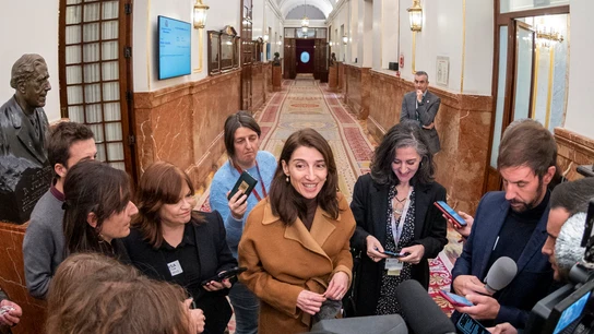 "Es importante centrarnos en las víctimas, centrarnos en su protección, que es lo que hace esta ley" "Es importante centrarnos en las víctimas, centrarnos en su protección, que es lo que hace esta ley"