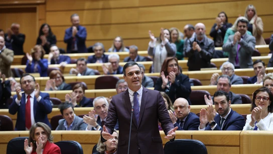 Pedro Sánchez, en su réplica a Feijóo durante el pleno del Senado Pedro Sánchez, en su réplica a Feijóo durante el pleno del Senado