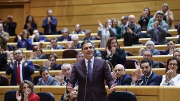 Pedro Sánchez, en su réplica a Feijóo durante el pleno del Senado