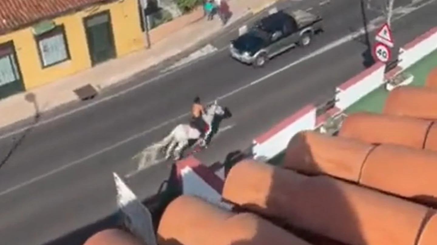Un hombre se baja de su caballo e intenta agredir con los estribos a un grupo de personas en Tenerife Un hombre se baja de su caballo e intenta agredir con los estribos a un grupo de personas en Tenerife