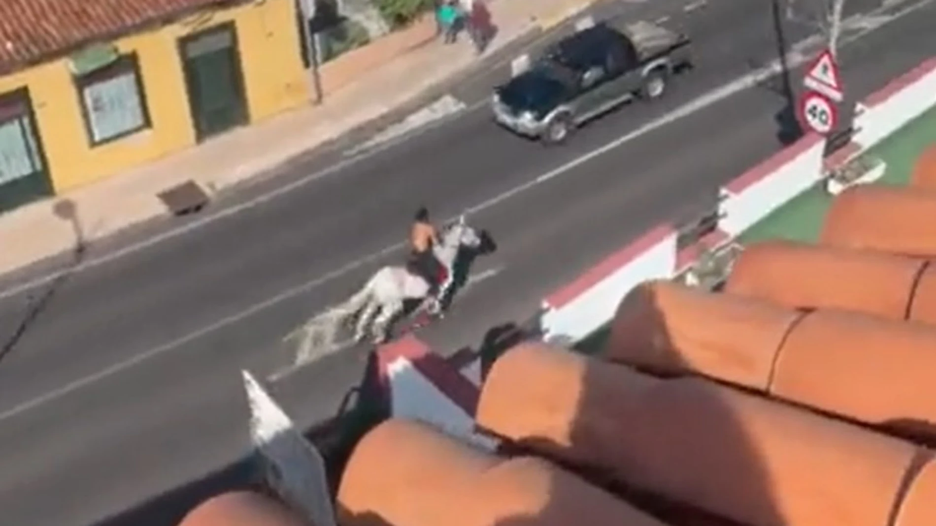 Un hombre se baja de su caballo e intenta agredir con los estribos a un grupo de personas en Tenerife