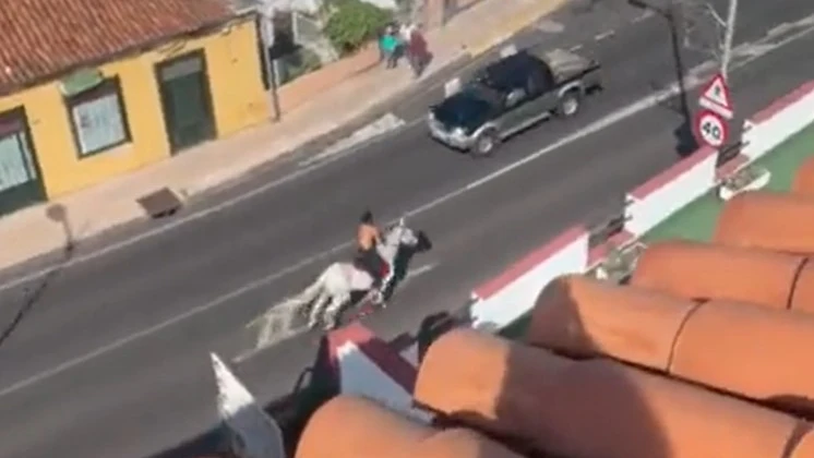 Un hombre se baja de su caballo e intenta agredir con los estribos a un grupo de personas en Tenerife