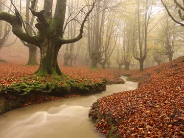 Parque Natural del Gorbea, en Bilbao Parque Natural del Gorbea, en Bilbao