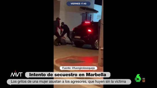 Intento de secuestro en Marbella frustrado por los gritos de una mujer Intento de secuestro en Marbella frustrado por los gritos de una mujer