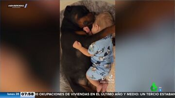Compañeros de siesta: el adorable vídeo de un bebé y un perro que duermen juntos y abrazados
