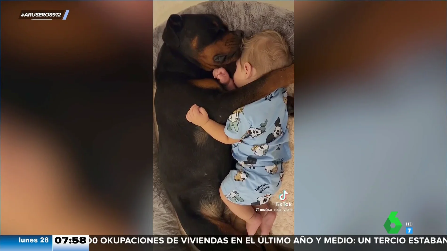 Compañeros de siesta: el adorable vídeo de un bebé y un perro que duermen juntos y abrazados