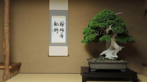 Museo del Bonsái Shunkaen