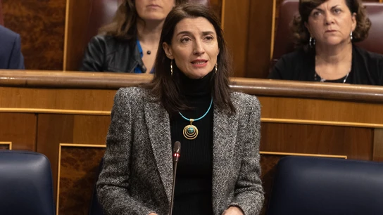 La ministra de Justicia, Pilar Llop, en el Congreso La ministra de Justicia, Pilar Llop, en el Congreso