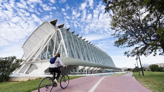 Ciudad de las Artes y las Ciencias de Valencia Ciudad de las Artes y las Ciencias de Valencia