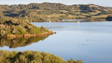 Albufera des Grau. Menorca