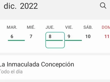 ¿Por qué el 8 de diciembre se celebra el Día de la Inmaculada Concepción? ¿Por qué el 8 de diciembre se celebra el Día de la Inmaculada Concepción?
