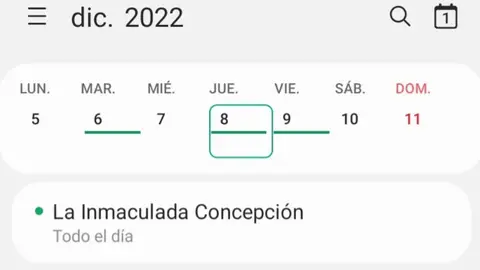 ¿Por qué el 8 de diciembre se celebra el Día de la Inmaculada Concepción? ¿Por qué el 8 de diciembre se celebra el Día de la Inmaculada Concepción?