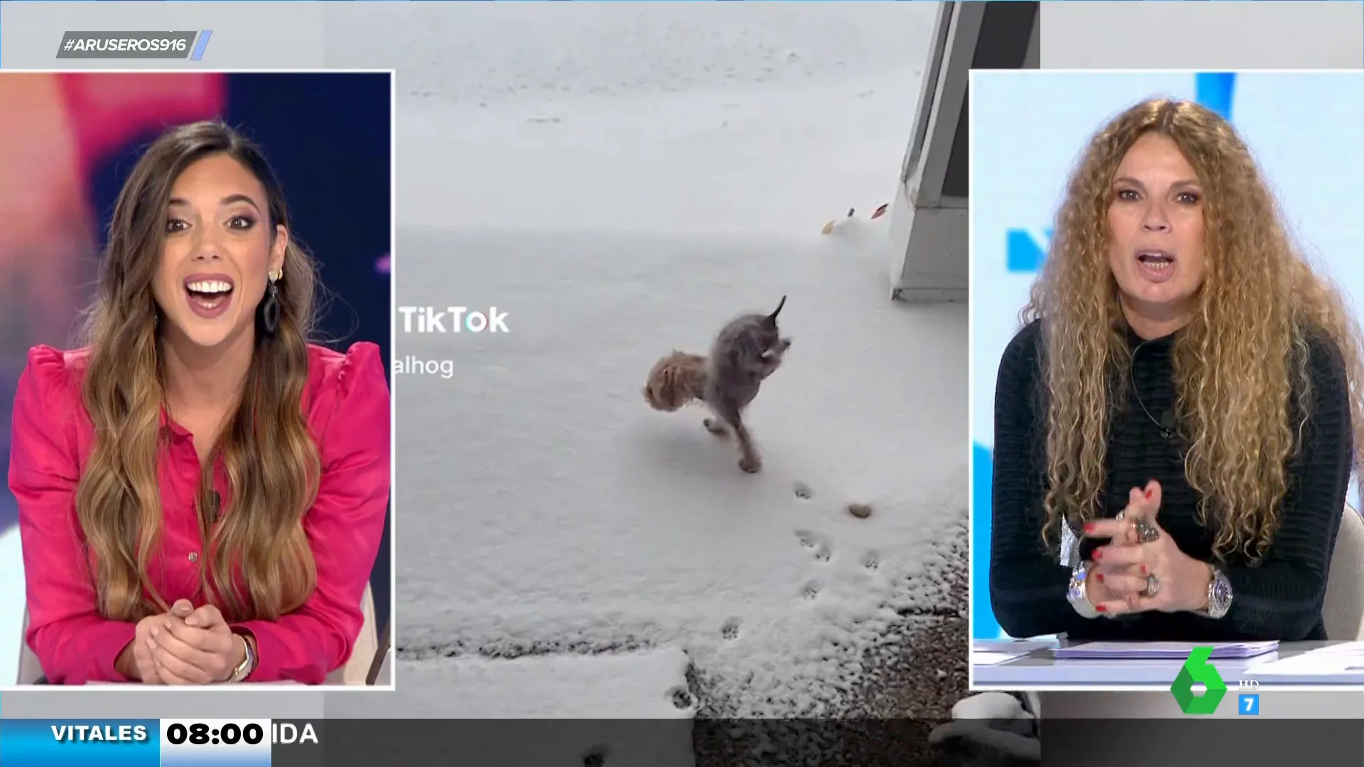 La curiosa técnica de este perro para caminar por la nieve sin pasar frío