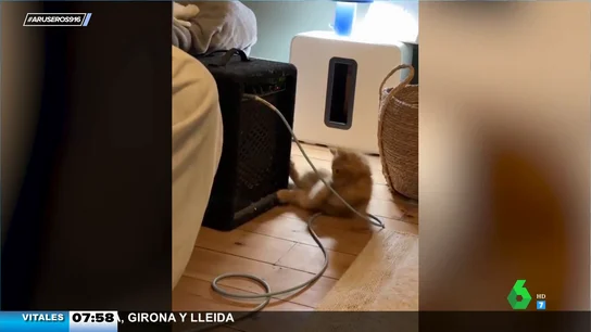 El adorable vídeo de un gatito que se asusta cada vez que su dueño toca la guitarra El adorable vídeo de un gatito que se asusta cada vez que su dueño toca la guitarra