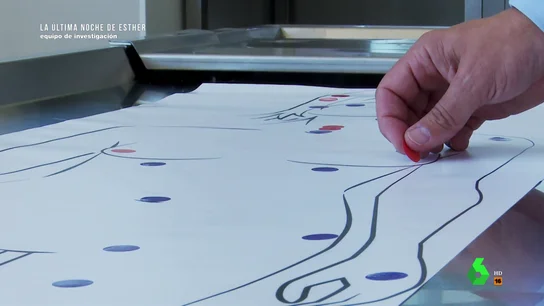 "Si la hubieran llevado al hospital, se habría salvado": un forense analiza la autopsia de Esther López "Si la hubieran llevado al hospital, se habría salvado": un forense analiza la autopsia de Esther López