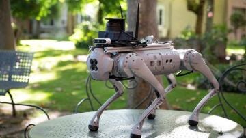 Tefi, un perro-robot capaz de guiar a personas con dependientes o con alguna discapacidad