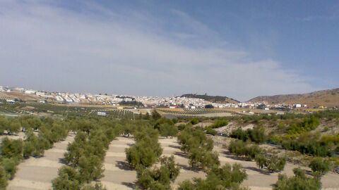 Estepa
