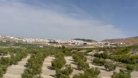 Estepa Estepa