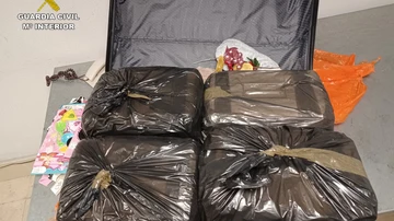 Las dos maletas de la mujer detenida por contrabando de especies protegidas