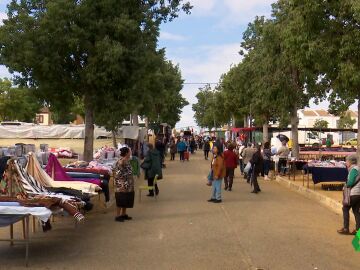 Equipo de Investigación