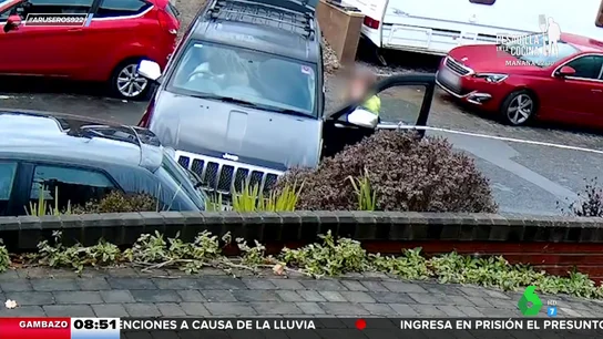 Un perro conduce un coche y colisiona con los vehículos aparcados en la calle Un perro conduce un coche y colisiona con los vehículos aparcados en la calle