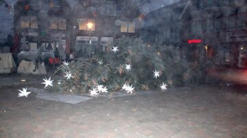 Imagen del árbol de Navidad talado y caído en Halle