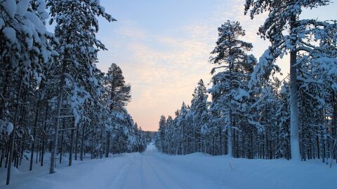 Ruta nevada